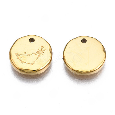 316 Surgical Stainless Steel Charms STAS-S116-418C-G-1