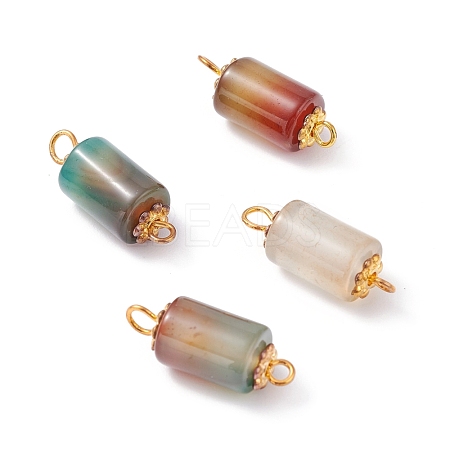 Natural Peacock Agate Link Connectors PALLOY-JF01083-03-1