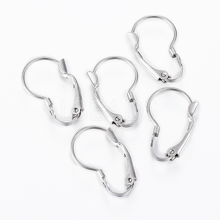 Tarnish Resistant 304 Stainless Steel Leverback Earring Findings LS-STAS-G161-20B-1