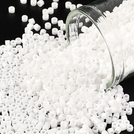 Cylinder Seed Beads SEED-H001-H24-1