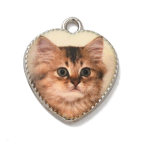 Alloy Pendant FIND-H045-08P-03-1