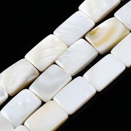 Natural Freshwater Shell Beads Strands SHEL-Q024-013-1