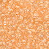 8/0 Transparent Inside Colours Glass Seed Beads SEED-R051-09B-02-2