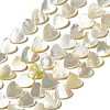 Natural White Shell Beads Strands SHEL-F003-01A-1