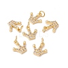 Rack Plating Brass Micro Pave Clear Cubic Zirconia Charms ZIRC-C040-34G-4