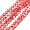 Natural Freshwater Shell Dyed Beads Strands SHEL-K001-001B-1