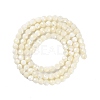 Shell Beads Strands SSHEL-E571-38-4mm-2