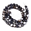 Natural Freshwater Shell Beads Strands SHEL-S276-110A-01-2