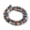 Natural Ocean Jasper Beads Strands G-F668-01-B-2
