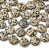 Natural Dalmatian Jasper Beads Strands G-A292-A06-01-5