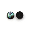 Paua Shell Cabochons SHEL-WH0001-002A-2