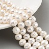 Natural Cultured Freshwater Pearl Beads Strands PEAR-C003-14F-2