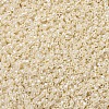 MIYUKI Delica Beads X-SEED-J020-DB1900-3