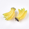 Resin Pendants RESI-T028-46-3