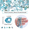 SUNNYCLUE 2 Strands Natural Apatite Chip Beads Strands G-SC0002-52-2