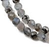 Natural Labradorite Beads Strands G-G281-B03-6mm-4