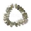 Natural Labradorite Beads Strands G-B064-B62-3