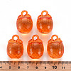 Autumn Theme Transparent Acrylic Pendants TACR-T024-04B-921-5
