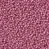 MIYUKI Round Rocailles Beads SEED-X0055-RR0556-3