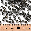 Glass Seed Beads SEED-US0003-4mm-12-3