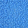 8/0 Czech Opaque Glass Seed Beads SEED-N004-003A-17-4