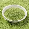 MIYUKI Round Rocailles Beads X-SEED-G009-RR0439-2