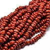 Natural Red Jasper Chip Beads Strands G-E271-124-1