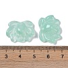 Baking Paint Glass Beads X-GLAA-S202-13G-3