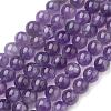 Natural Gemstone Beads Strands G-S036-6