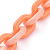 Handmade Acrylic Cable Chains AJEW-JB00641-4