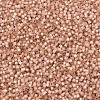 MIYUKI Delica Beads SEED-X0054-DB0622-3