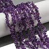 Natural Amethyst Beads Strands G-G0003-B44-2