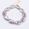Opaque Glass Beads Strands EGLA-P040-A06-2