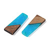 Resin & Wood Pendants WOOD-F015-04G-2