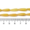 Natural Freshwater Shell Beads Strands SHEL-A004-03D-4