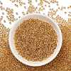 TOHO Round Beads X-SEED-TR11-0701-3