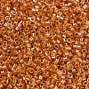 MIYUKI Delica Beads SEED-X0054-DB1702-3