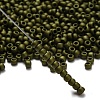 TOHO 6/0 Round Beads X-SEED-TR06-0617-2