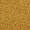 Cylinder Seed Beads SEED-H001-H22-2