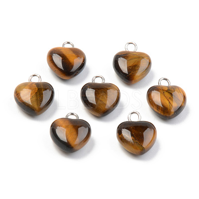 Natural Tiger Eye Charms G-T132-005A-1