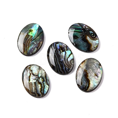 Natural Paua Shell Epoxy Resin Cabochons SSHEL-S279-01B-1