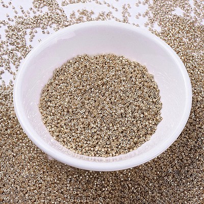 MIYUKI Delica Beads X-SEED-J020-DB0411-1