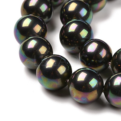Shell Pearl Bead Strands BSHE-L025-05-10mm-1