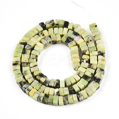 Natural Serpentine Beads Strands G-T140-50-1