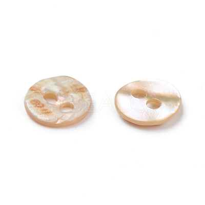 Abalone Shell/Paua Shell BSHE-I011-04E-1