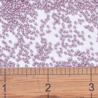 MIYUKI Delica Beads X-SEED-J020-DB0355-1