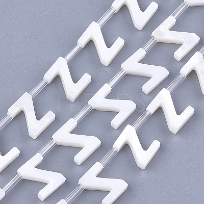 Natural Freshwater Shell Beads X-SHEL-T012-59-1