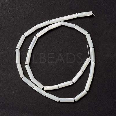 Natural Trochid Shell/Trochus Shell Beads SSHEL-O001-26B-1