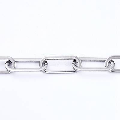 Non-Tarnish 3.28 Feet 304 Stainless Steel Paperclip Chains X-CHS-D031-03P-1