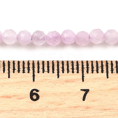 Natural Kunzite Beads Strands G-G259-D11-3mm-1